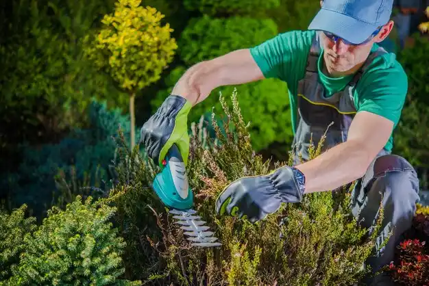 landscaping services Elmwood